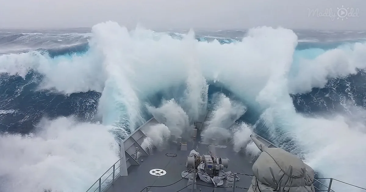 Warship Wacked by a Colossal Wave While in Search for Poachers