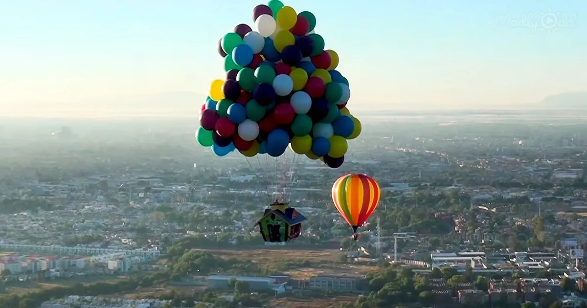 Man''s House Goes ''Up'' With Helium Balloons Like the Pixar Classic