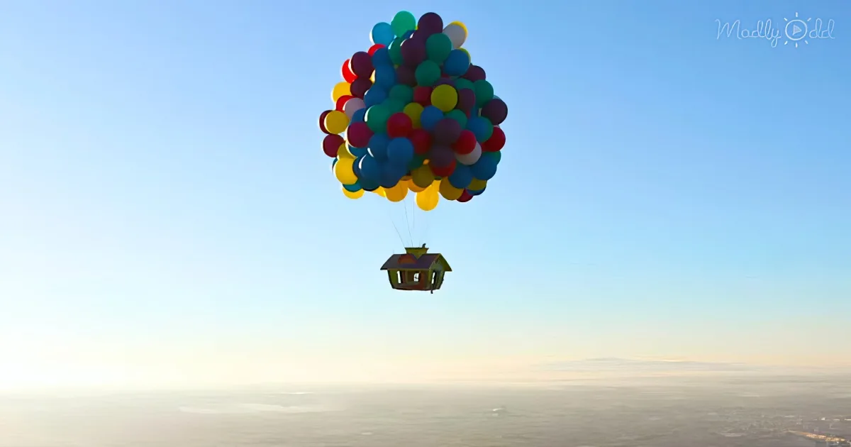 Man’s house goes ‘Up’ with helium balloons