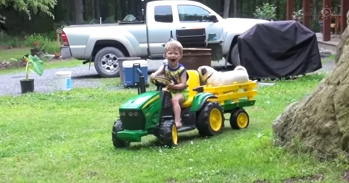 Boy and his dog riding John Deere Tractors