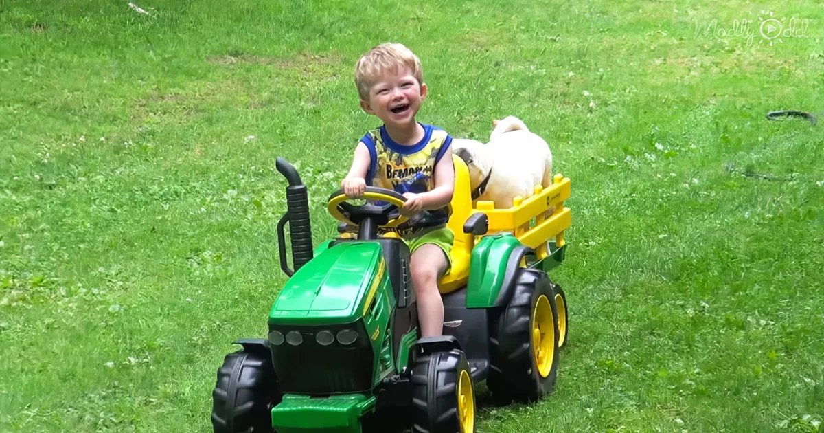 Boy and his dog riding John Deere Tractors