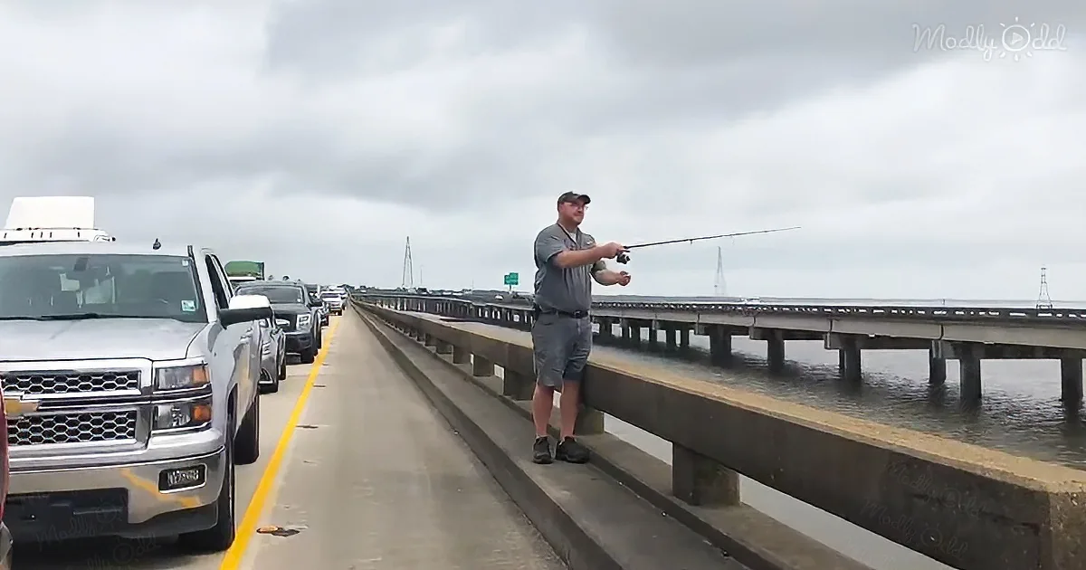 Louisiana Man Goes Fishing Interstate to While Away Traffic