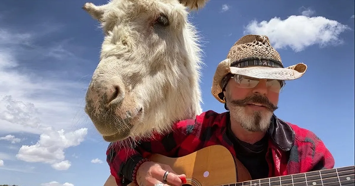 A Donkey Named 'Heaven' Is so Lonesome She Could Cry