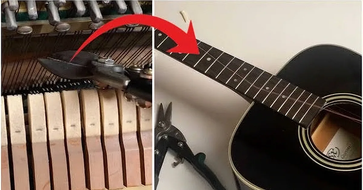 Famous Musician Swaps Guitar for Piano Strings for a Wondrous Sound