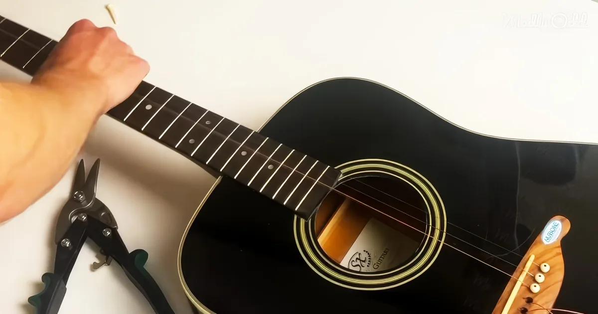 musician swaps guitar for piano strings