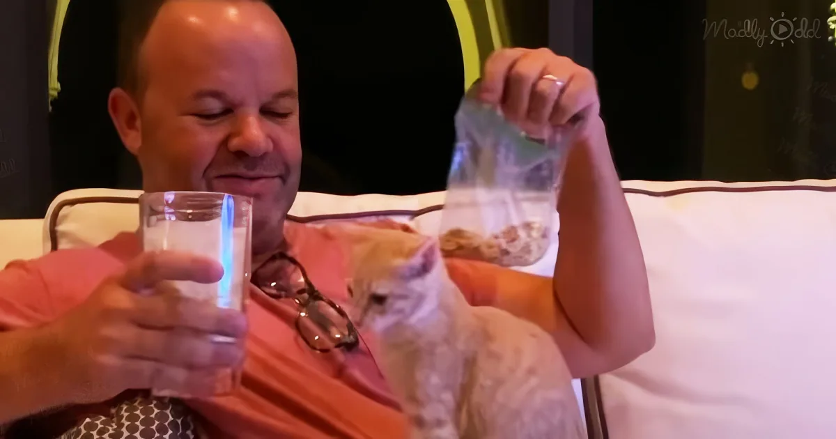 A man is sitting, holding a glass and a bag, appearing to be in a relaxed setting.