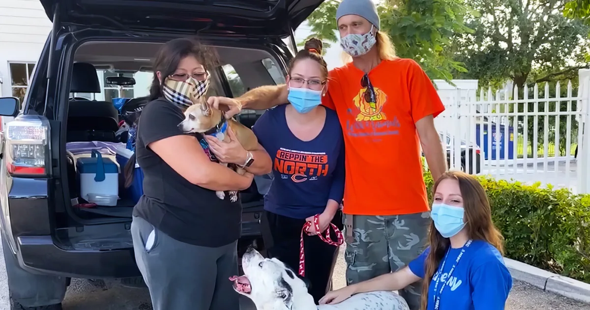 dog reunites with his lost family after 6 years
