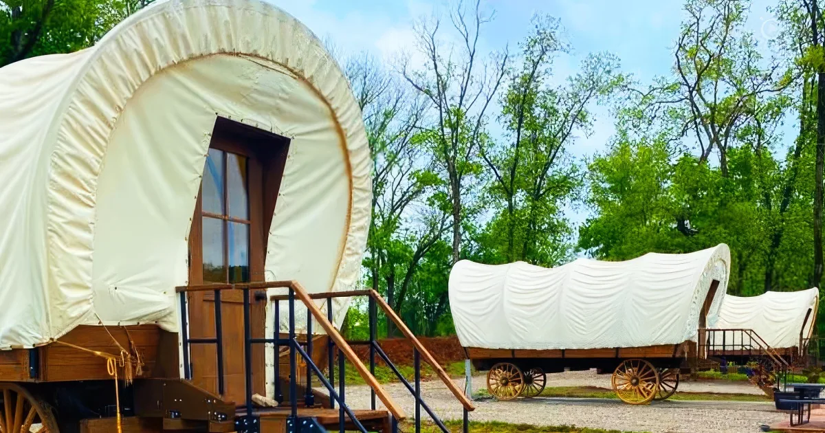 A covered wagon with a white canvas top and wooden frame is parked in a wooded area.