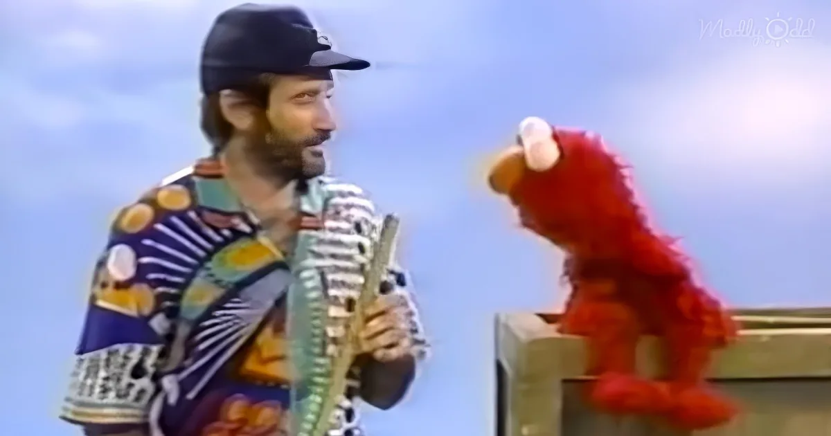 Robin Williams on Sesame Street