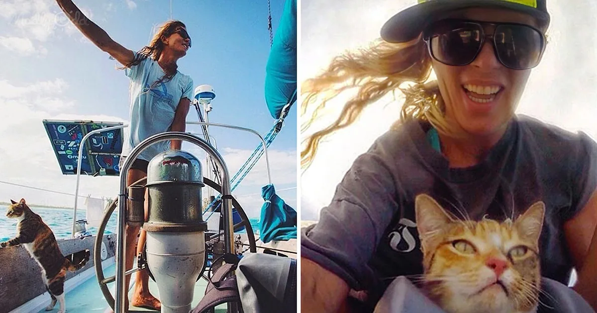Woman Quits Her Job to Sail Around the World With Her Rescue Cat.