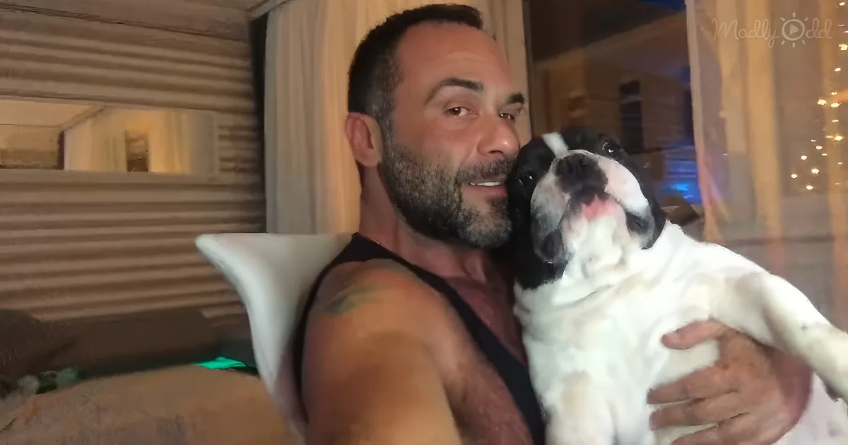A man holds a black and white dog, both appear relaxed and content in a cozy indoor setting.