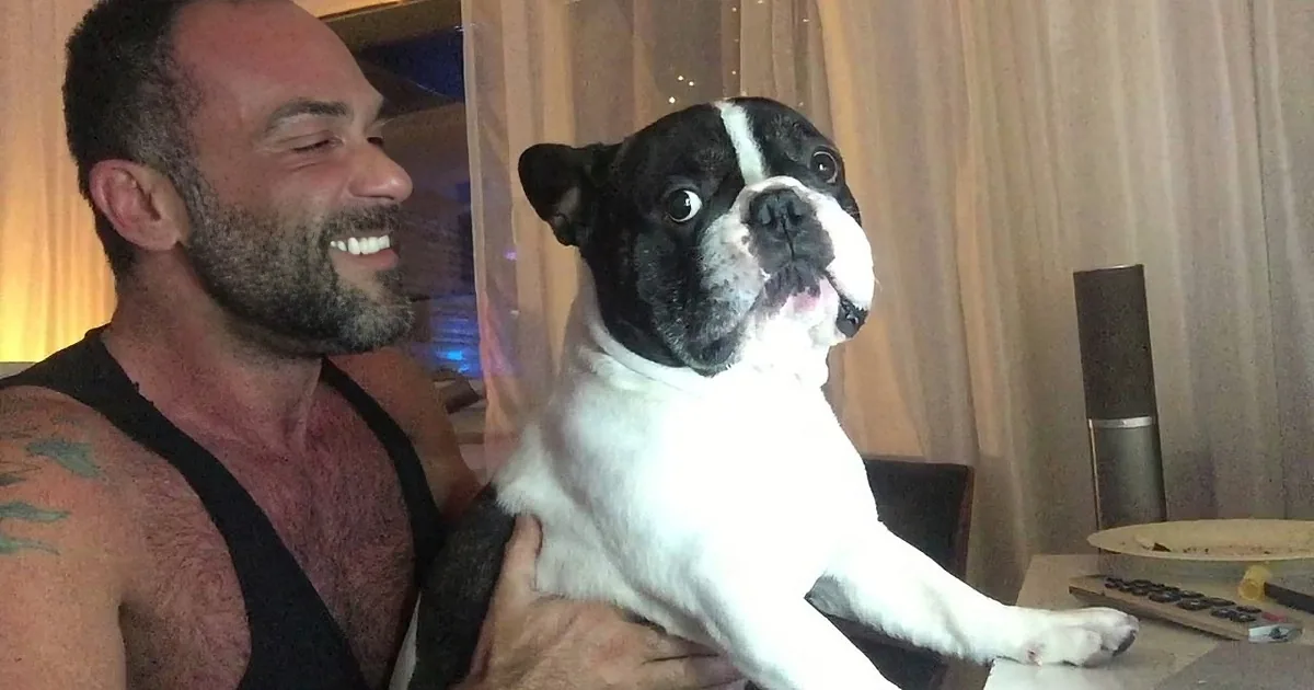 Bulldog Performs Brilliant Cover of Justin Timberlake''s ''Cry Me a River''