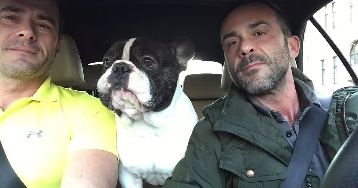 Bulldog Sings Andrea Bocelli''s ''Time to Say Goodbye''