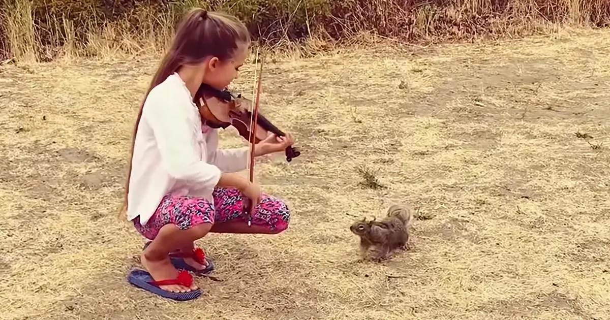Girl Serenades Adorable Squirrel With ''Hallelujah'' on Violin