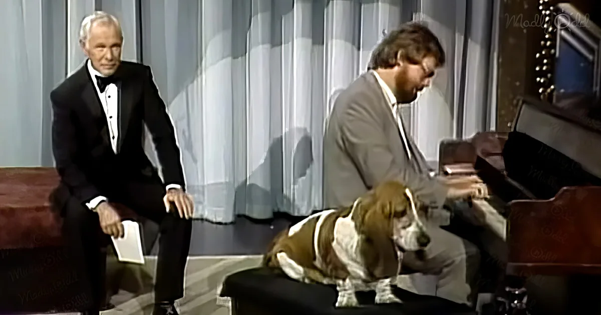 Singing dog contest on The Tonight Show