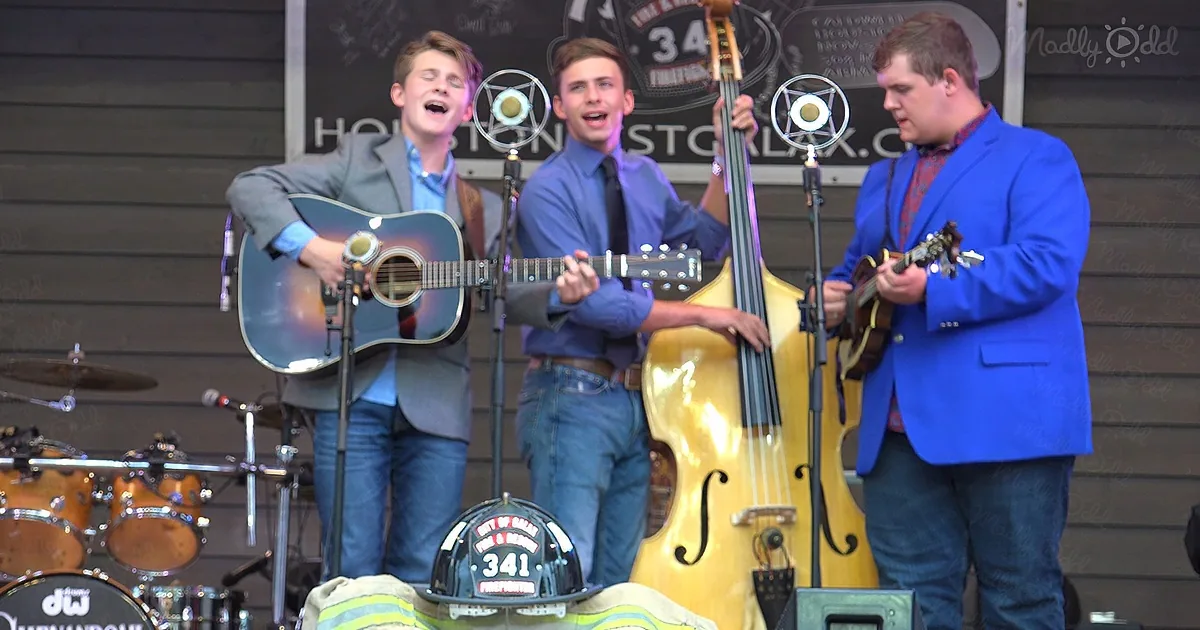 Three men play music on stage with a bass, guitar, and ukulele.