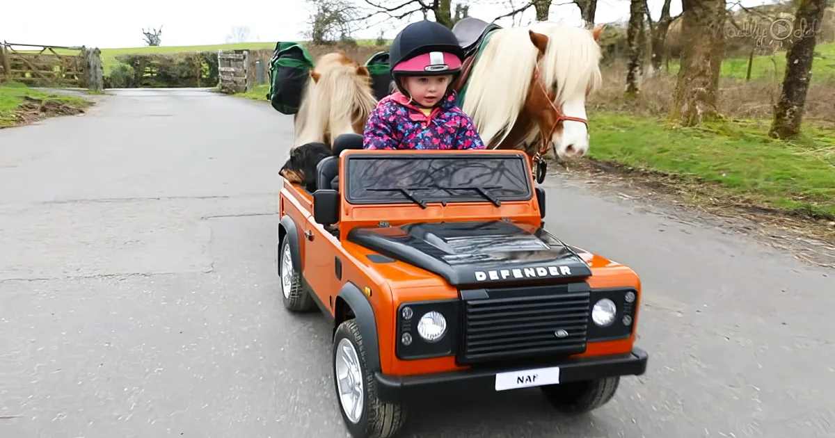 4-year-old boy with ponies
