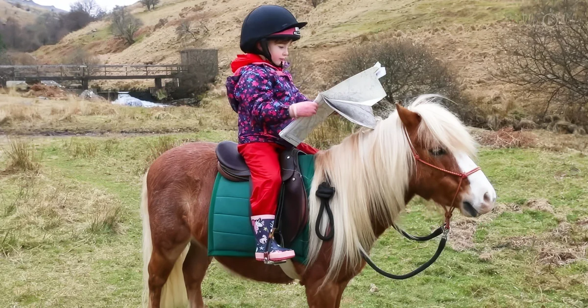 4-year-old boy with ponies
