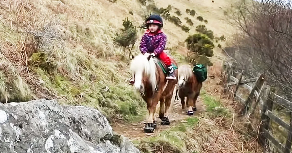 4-Year-Old Nephew Has an Adventure With Ponies