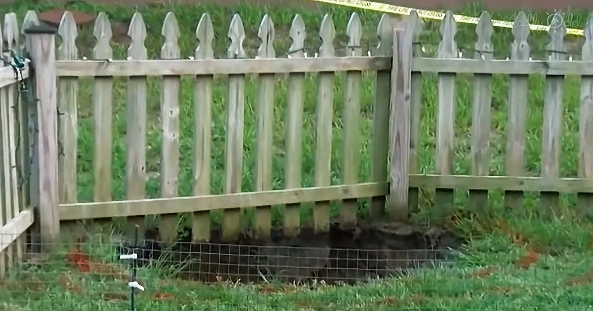 Giant Hole Suddenly Appears and Swallows Man''s Back Yard