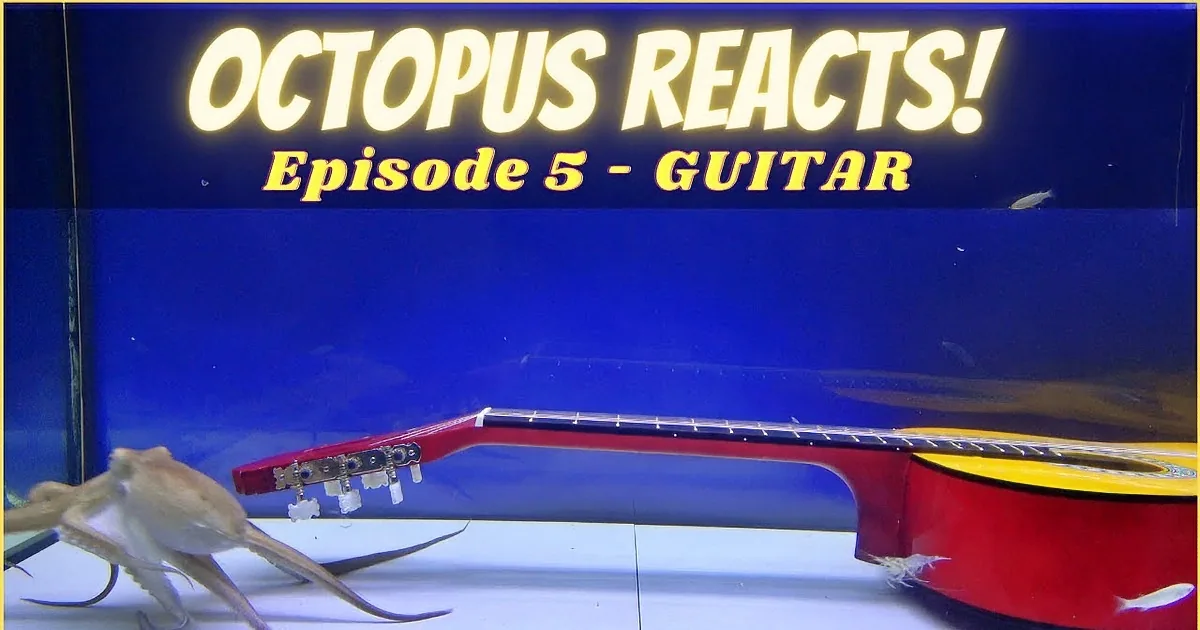An octopus sits on a yellow guitar in an aquarium, with a fish swimming nearby.