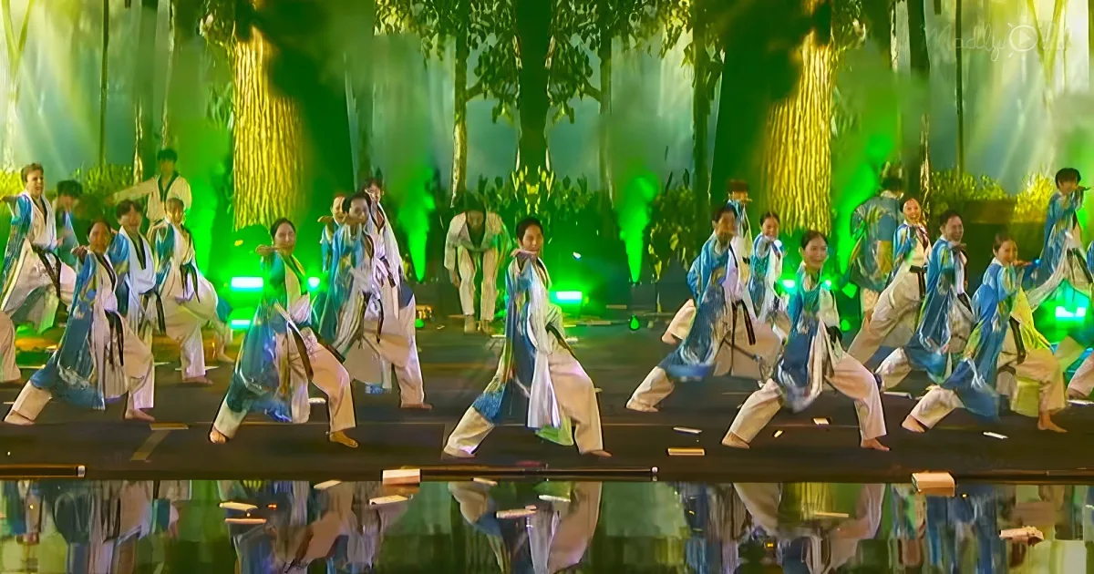 The world taekwondo demonstration team