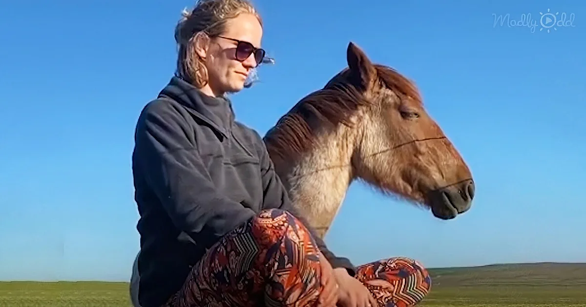 Woman Slowly Becomes Best Friends With an Anxious Wild Horse