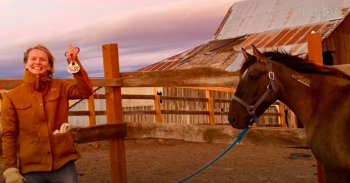 Woman and wild horse becomes best friends