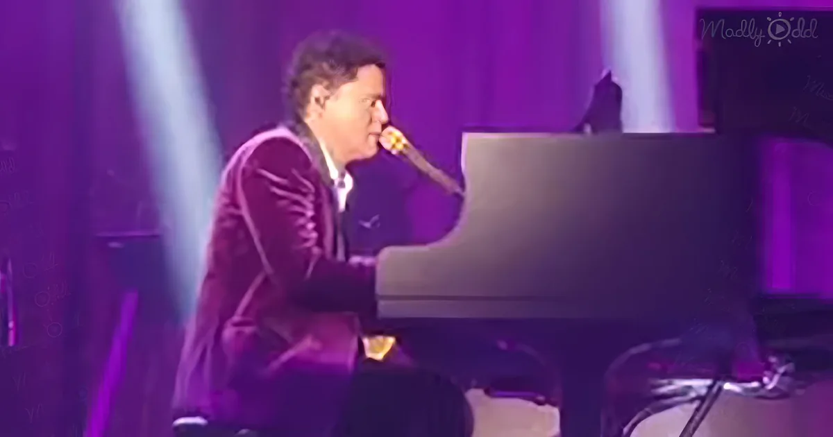 Donny Osmond singing "Start Again"