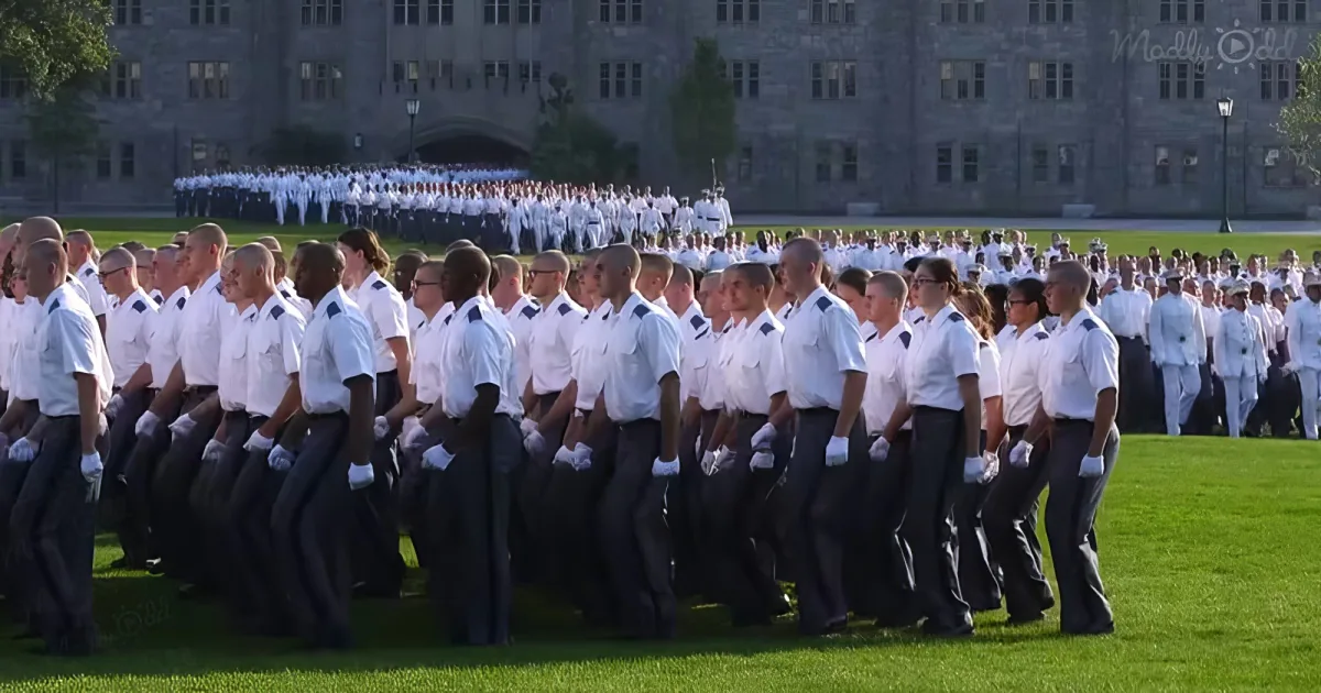 New Army Cadets