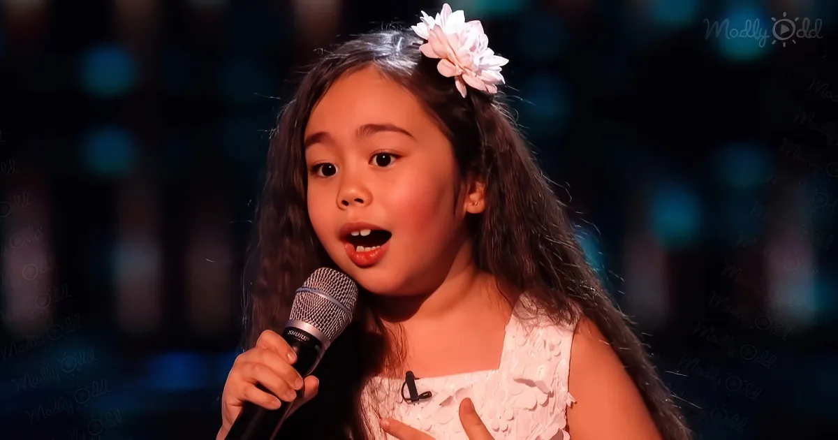 Amazing singing performance on The Voice
