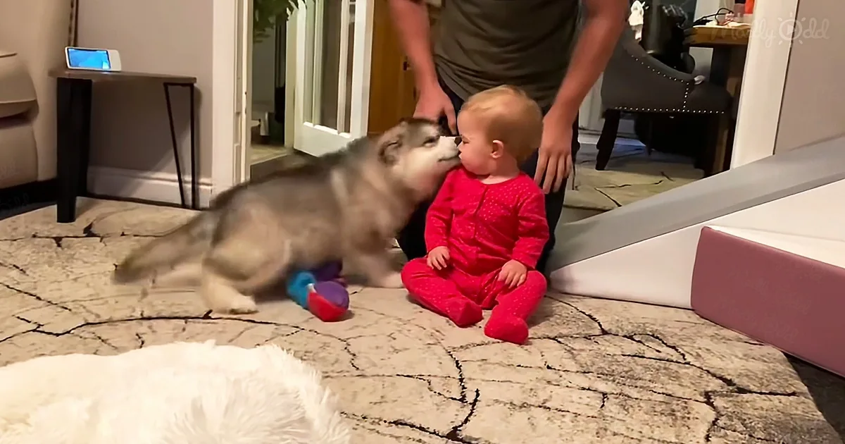 Watch Ten Month Old Baby Girl Grow Into a Toddler With Her Puppy by Her Side