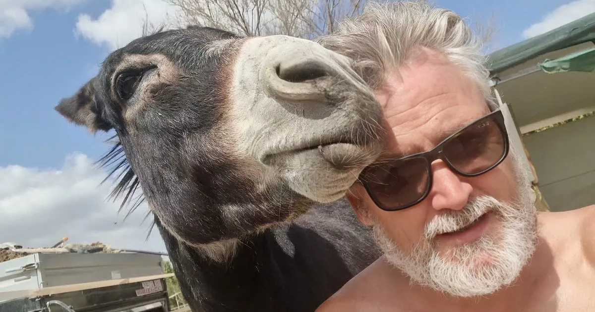Investigative Journalists Uncover Funny Truth About Donkey