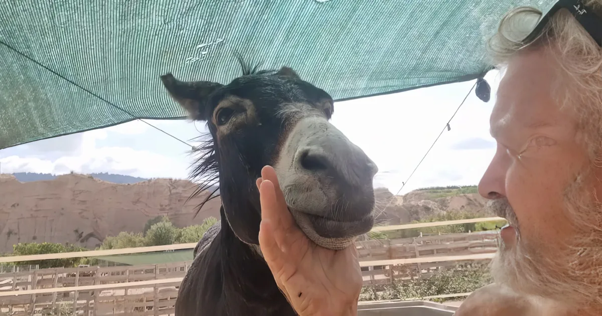 Man and Donkey