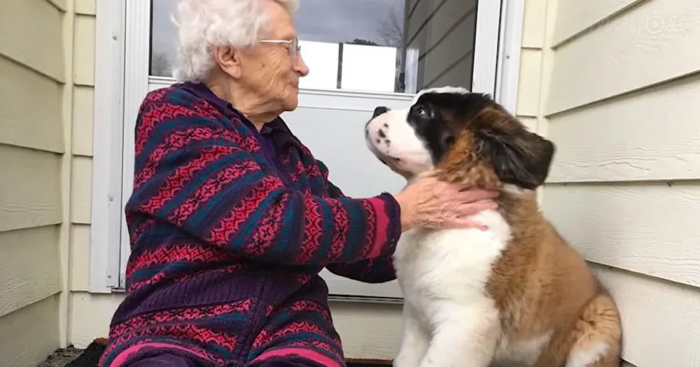 Senior woman and her dog