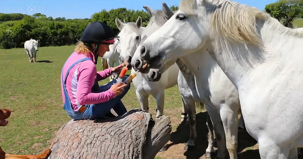 Woman Makes Healthy Smoothies for Happy Horses