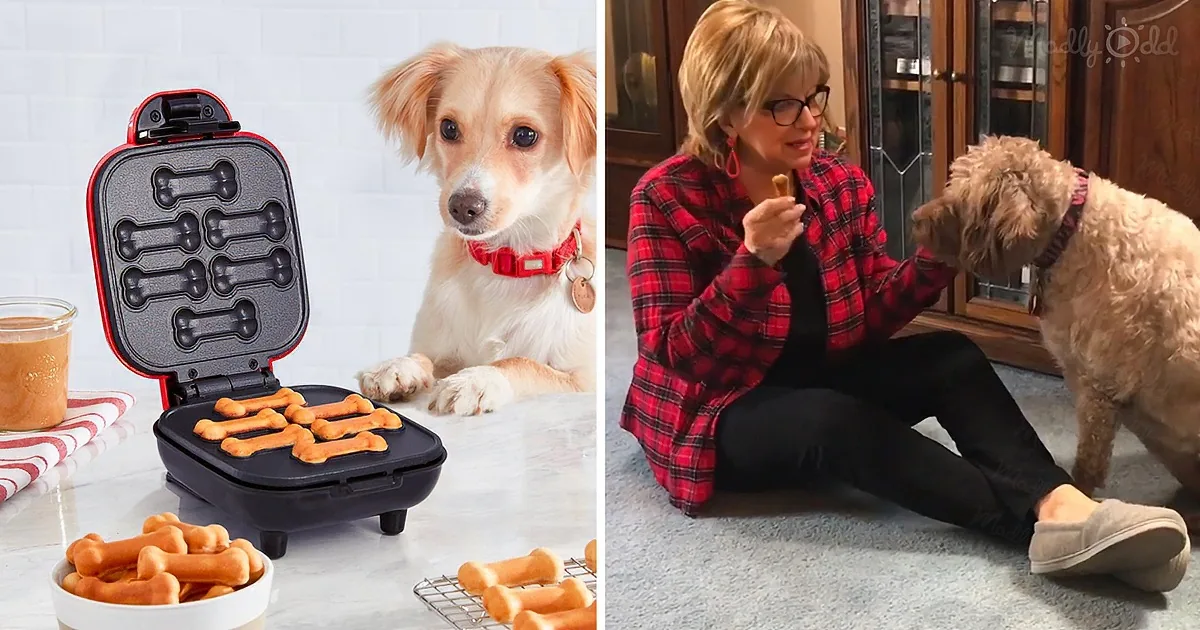 5-Star Amazon Gadget Makes Healthy Treats Dogs Go Crazy For