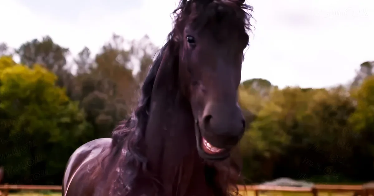 A close-up of a dark brown horse with flowing mane, set against a backdrop of green trees and a bright sky.