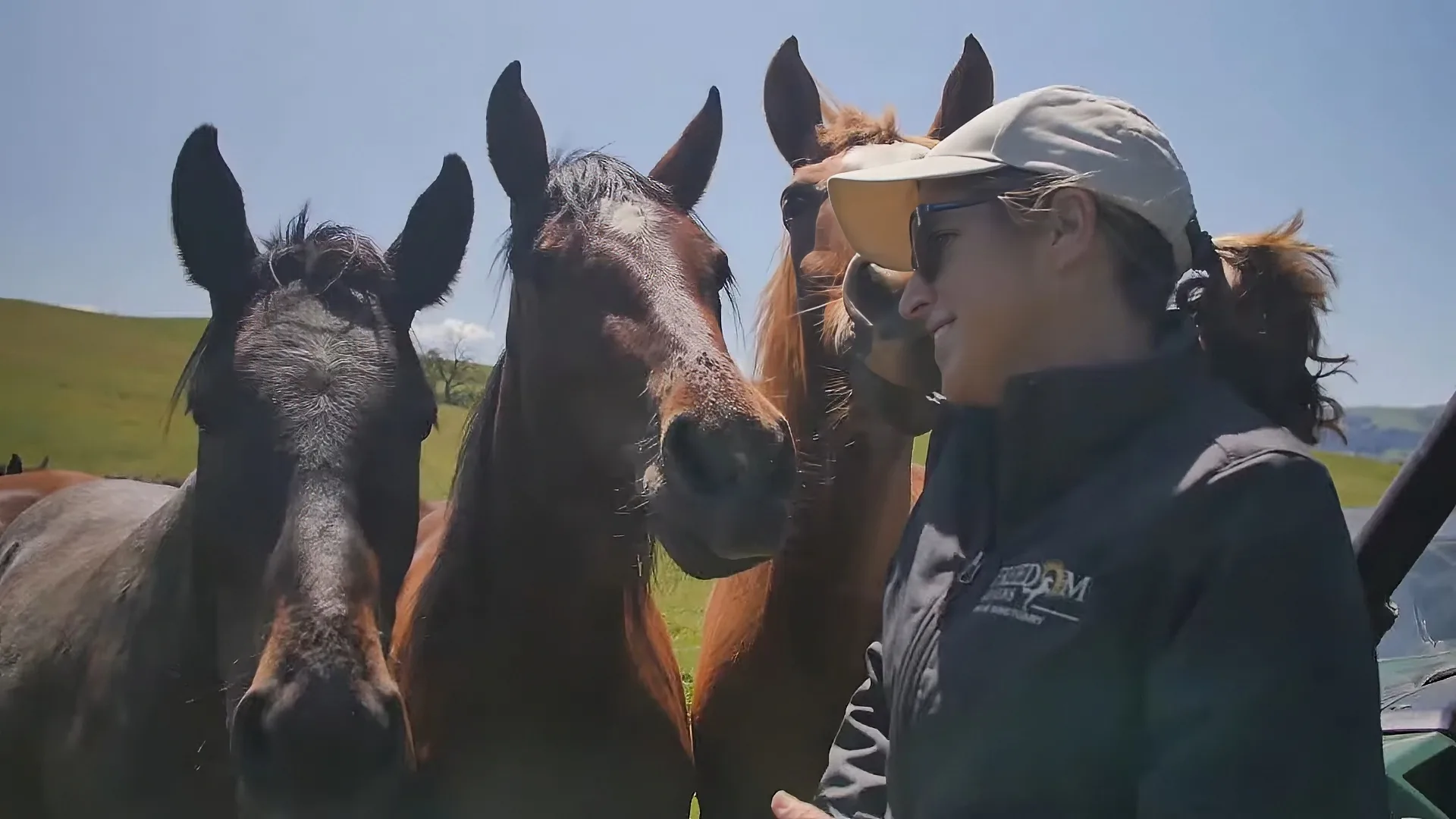 A woman in a cap and jacket interacts with horses in a sunny field.