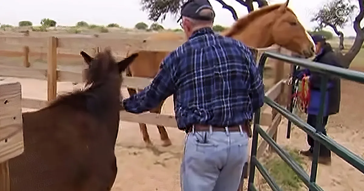 Larry and Peggy with rescued horses