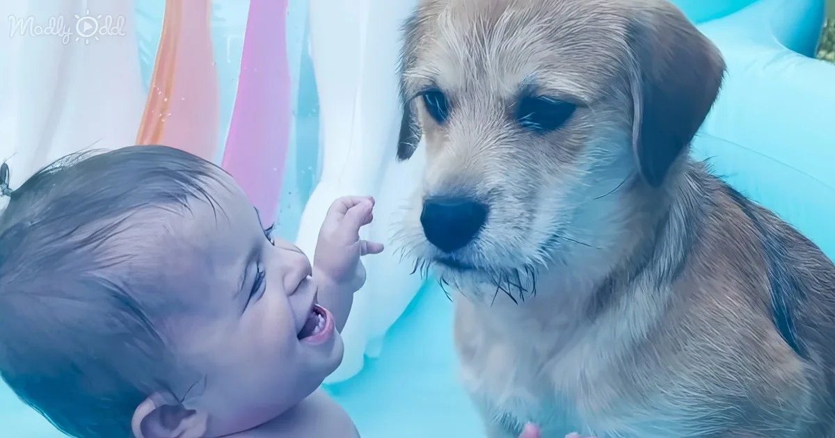 Baby girl and her cute puppy