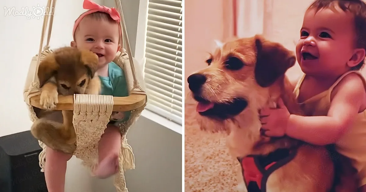 Baby Girl and Her Cute Puppy Become Best Friends, Sharing so Much Love and Hugs