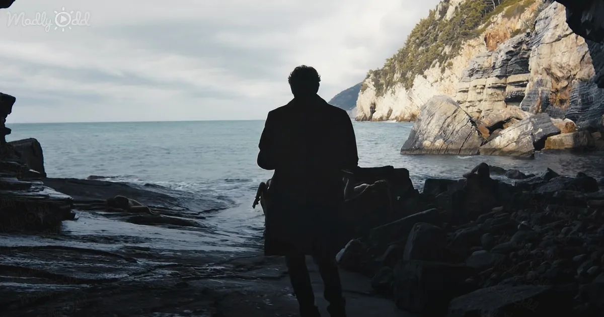 A silhouette of a person stands on rocky terrain, gazing at the ocean and cliffs.