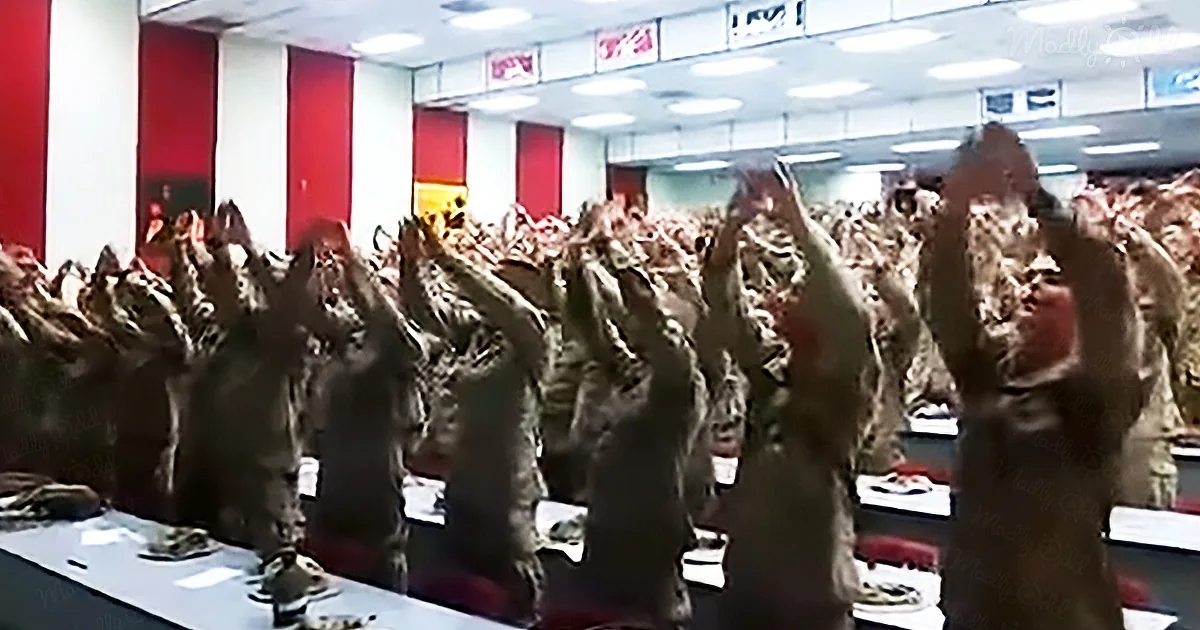 Us Marines Sing Their Hearts out to Classic Gospel Hit 'Days of Elijah'