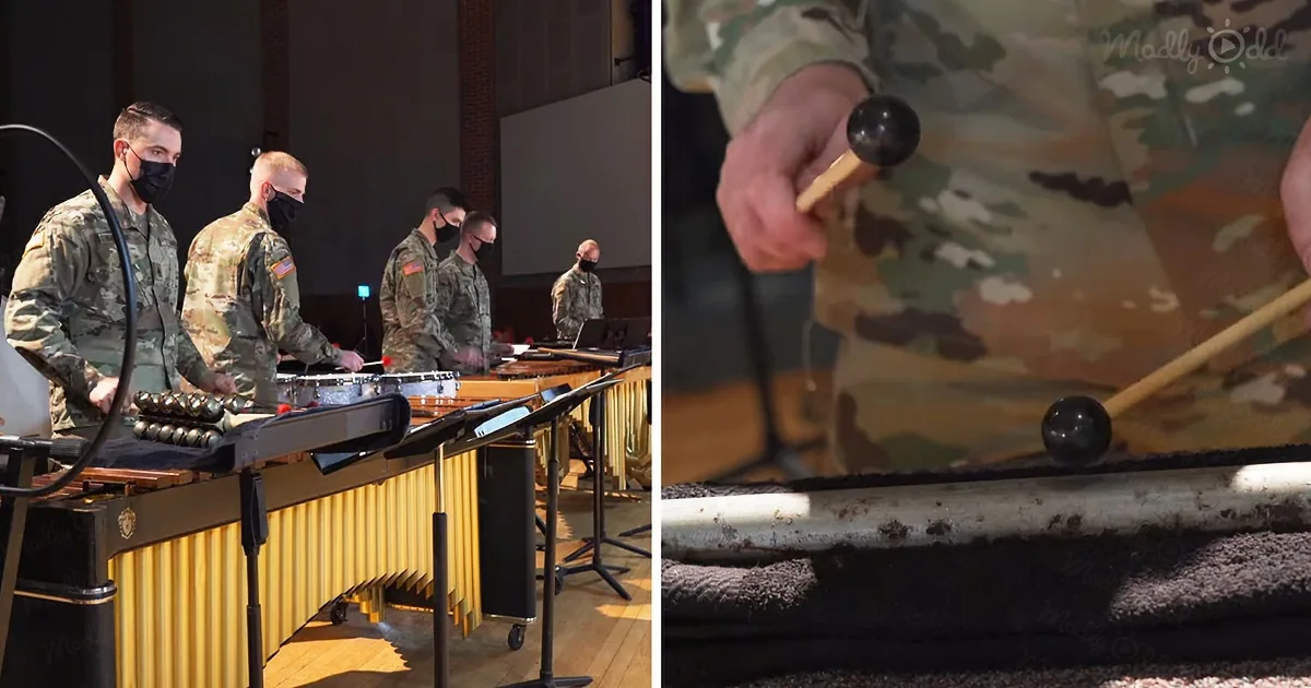 Us Army Band Performs Beautifully Haunting Melody on a Steel Pipe