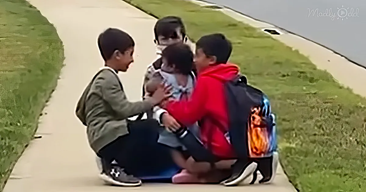 Toddler greeting bothers 