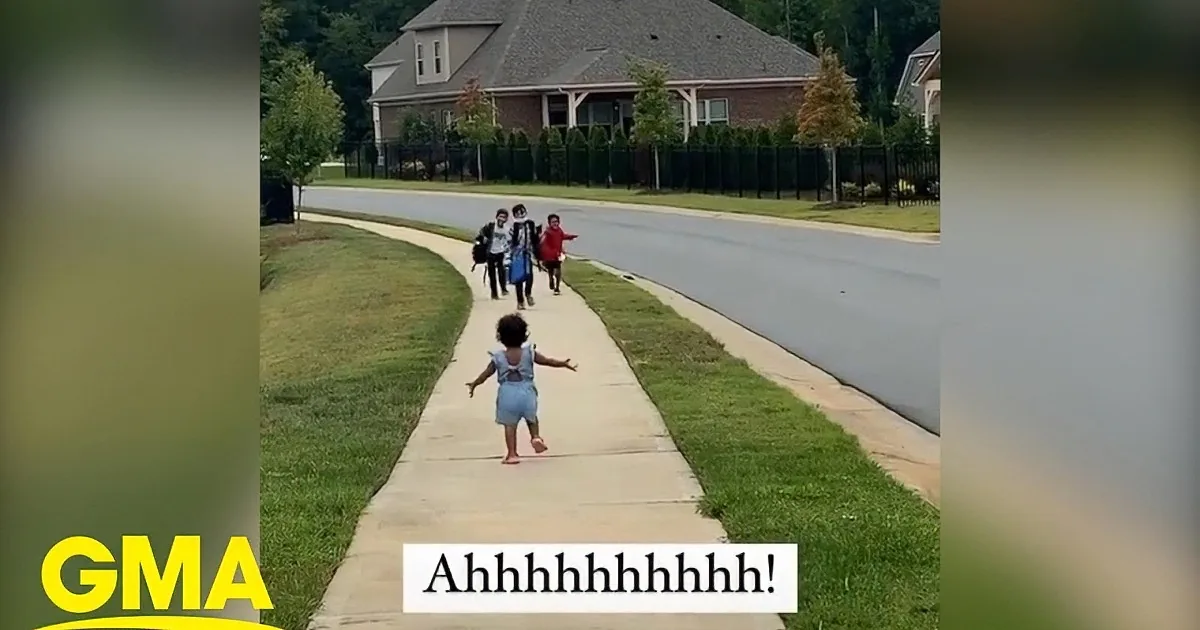 Toddler Greeting Bothers After School Melts Hearts Across the Internet