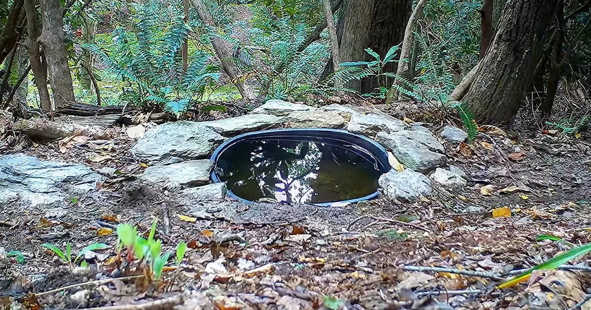 A small, oval-shaped blue container filled with water sits among rocks and fallen leaves in a forested area.