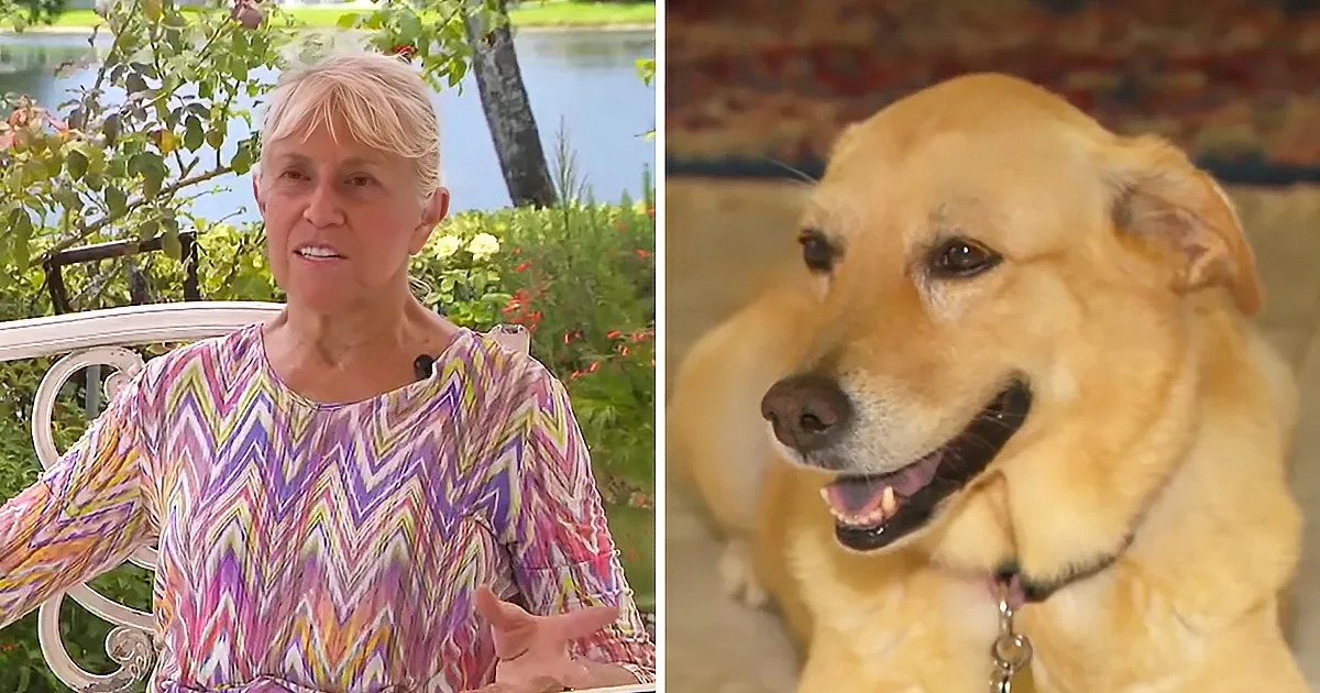 Fearless Woman Gets Attacked by Alligator to Save Her Dog