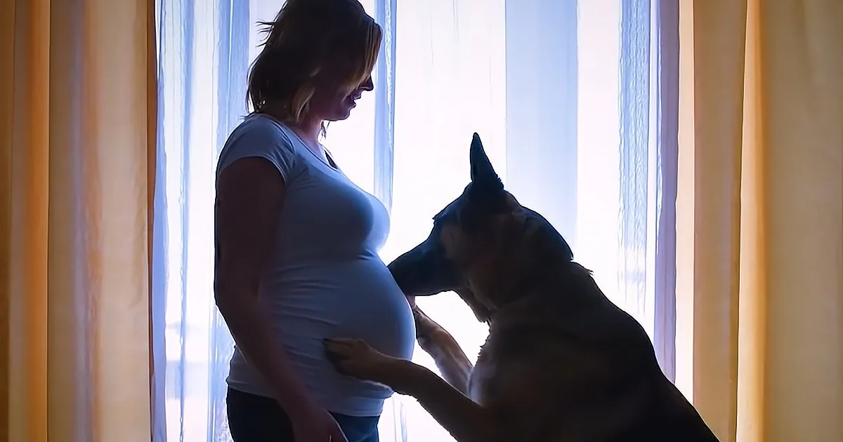 Dog Patiently Waits for His Baby Brother to Grow Up